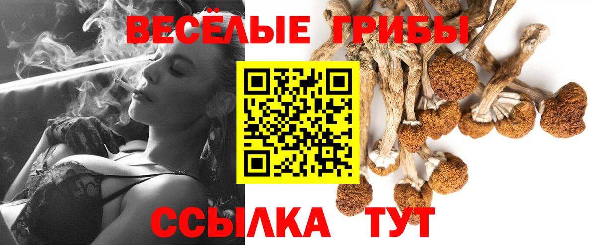 купить   Вход с VPN  Нефтекамск  Псилоцибиновые грибы Cubensis 