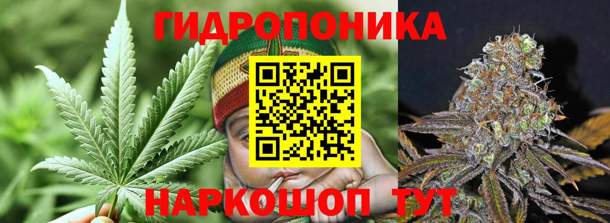 Бошки марихуана Amnesia  Вход с VPN  МАРИХУАНА план  Нефтекамск  Бошки марихуана MAZAR 
